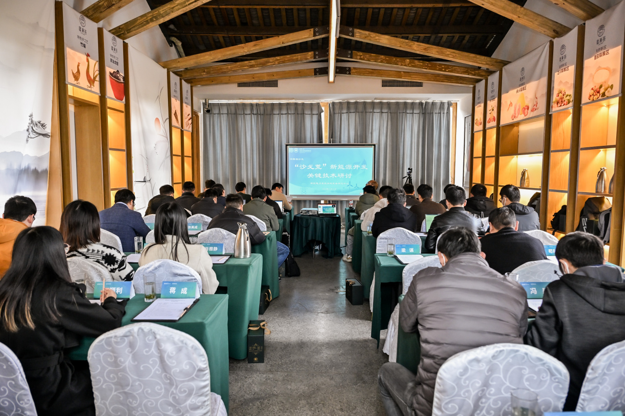 如何做好“沙戈荒”新能源技术开发？清华四川院通过这场学术主题沙龙找答案