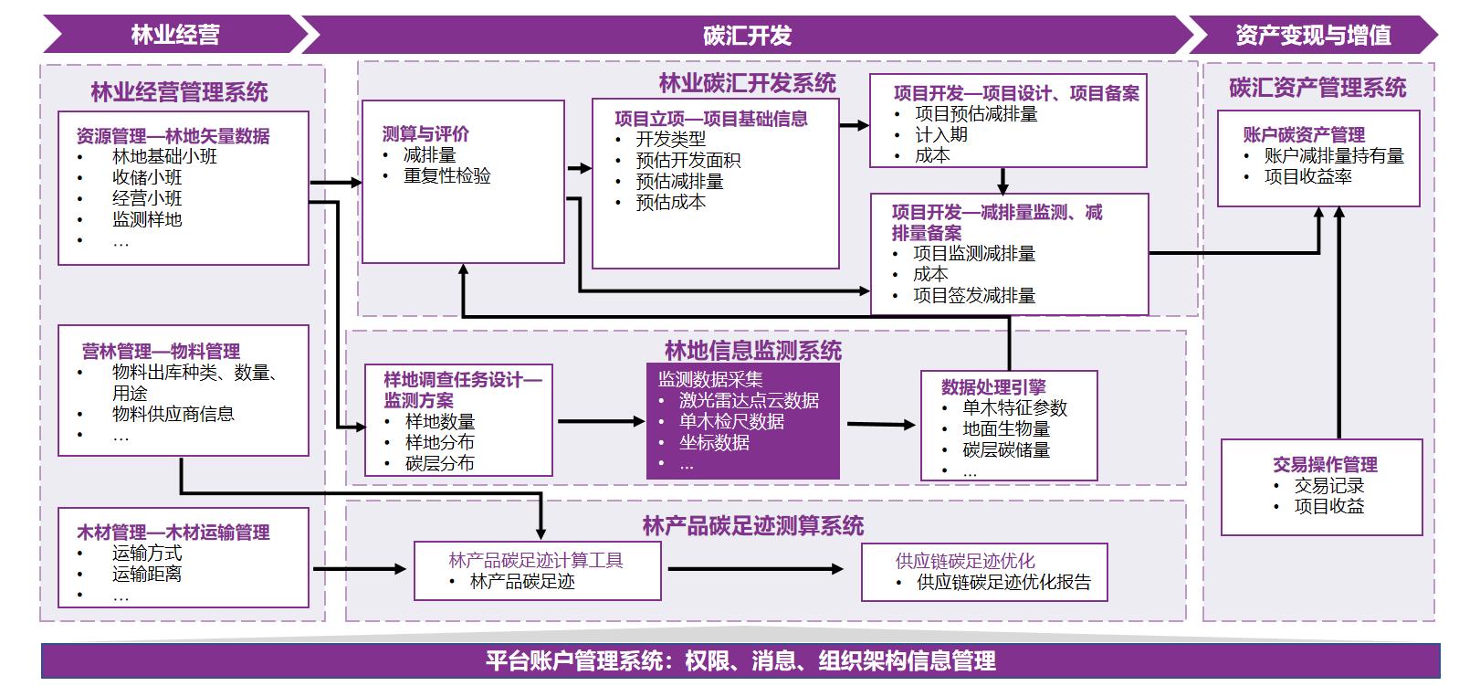图片50